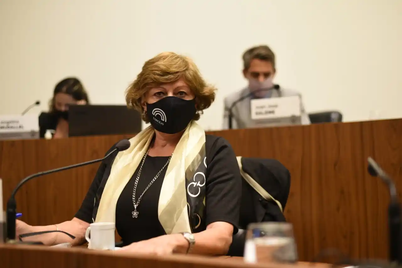 Concejo: aprueban proyecto para combatir el circuito ilegal de armas