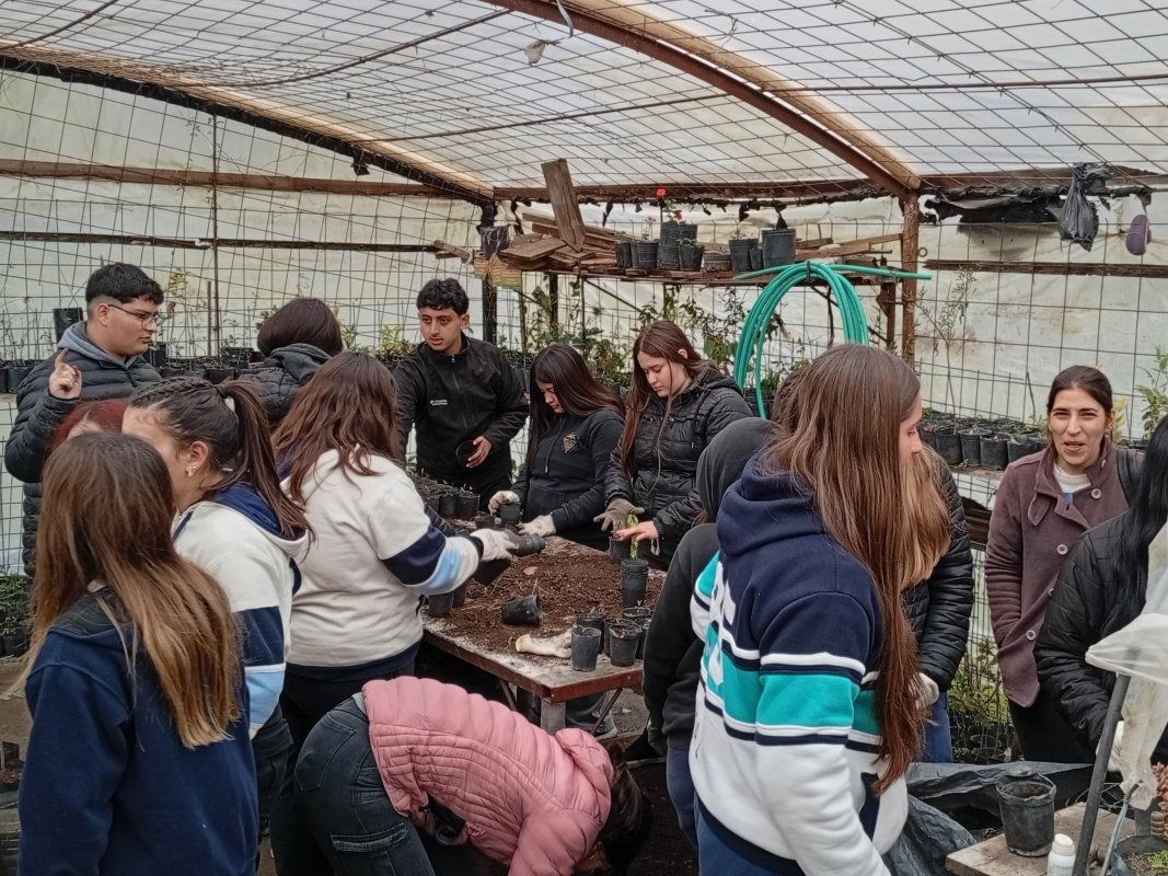 Estudiantes de 6º año realizan actividades en el vivero municipal