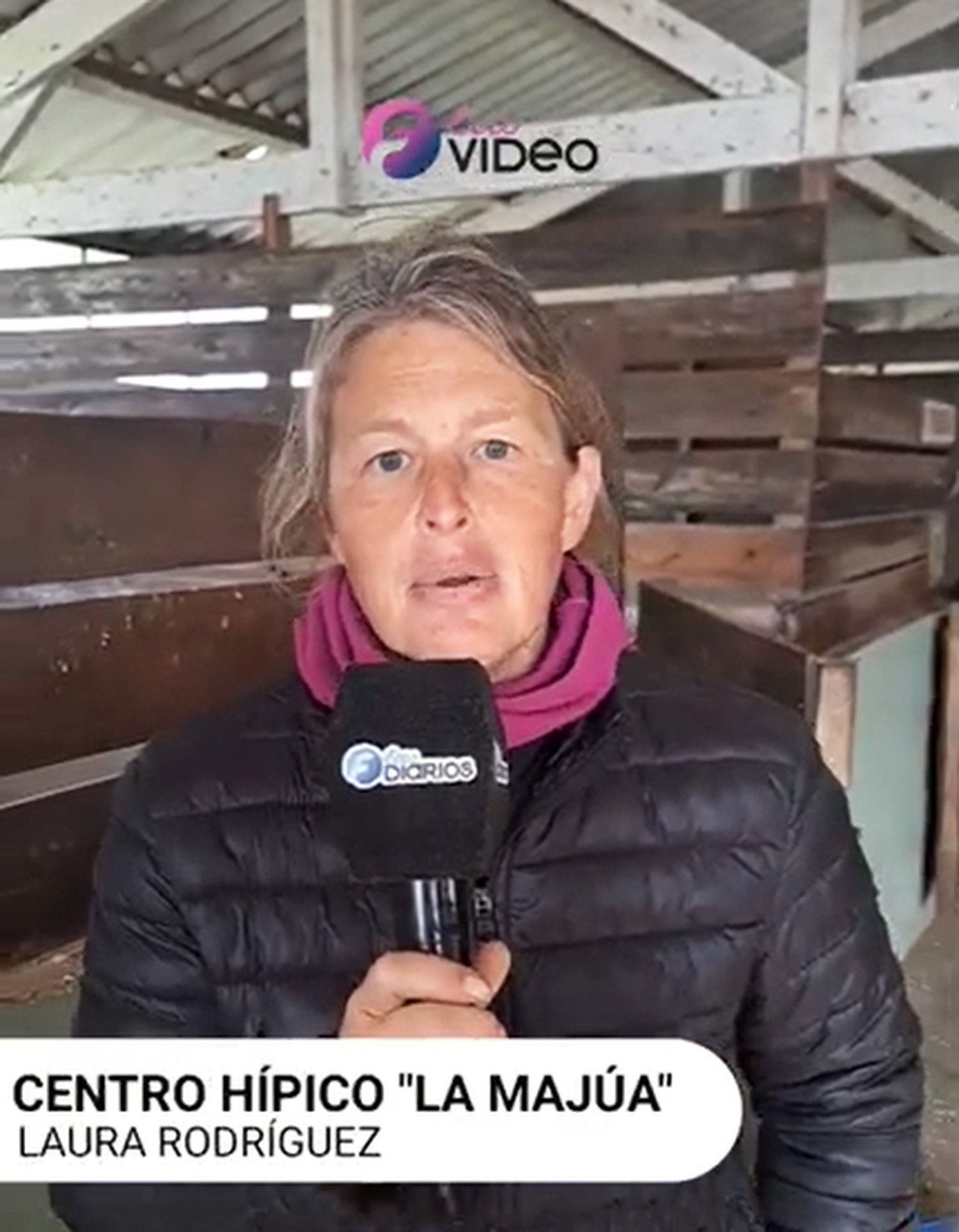 Cabalgata, saltos y equinoterapia en Necochea