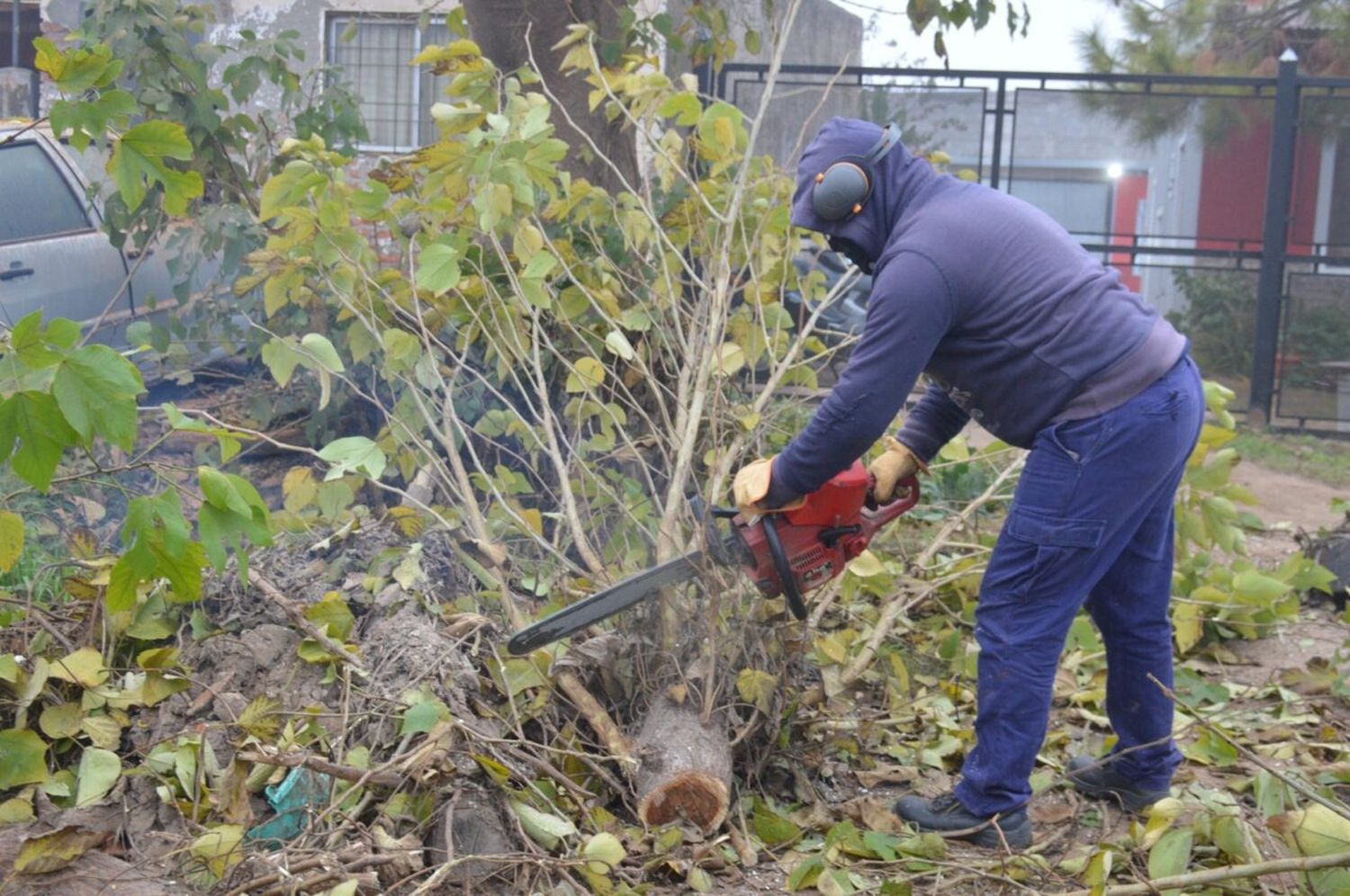 Cuadrillas municipales avanzan con poda y desmalezado en barrios y plazas