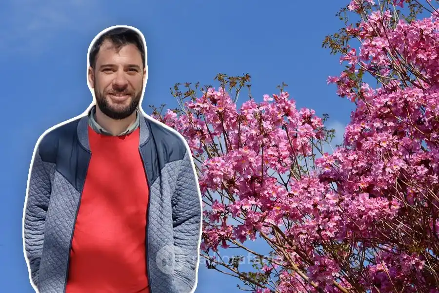 Paseo Yrigoyen propone capturar al lapacho rosado “para encarar lo que queda del año con más color y más alegría”