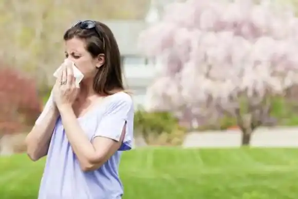 Cambio climático: cómo afecta el tiempo a la salud