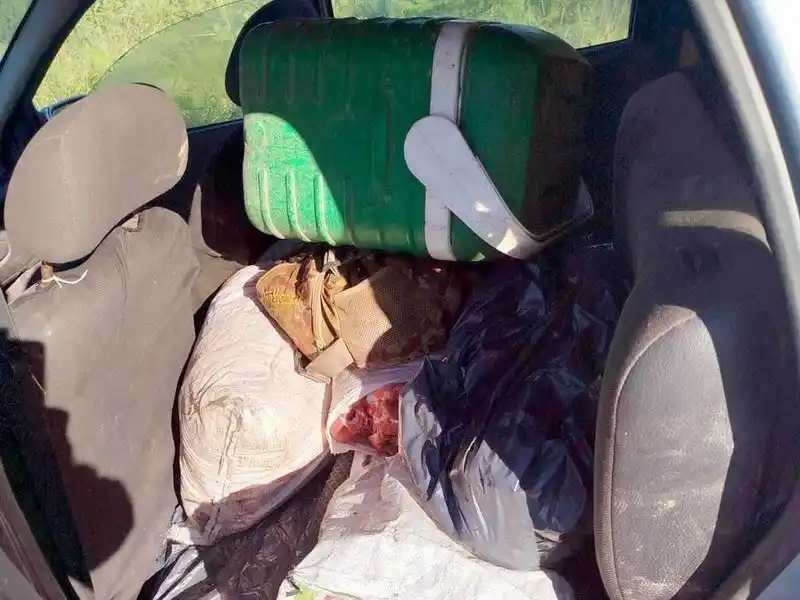 Golpe al abigeato: 6 detenidos y varios animales 
recuperados en distintos puntos de la provincia