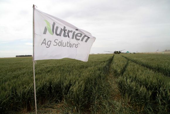 Nutrien empezó la retirada de la Argentina