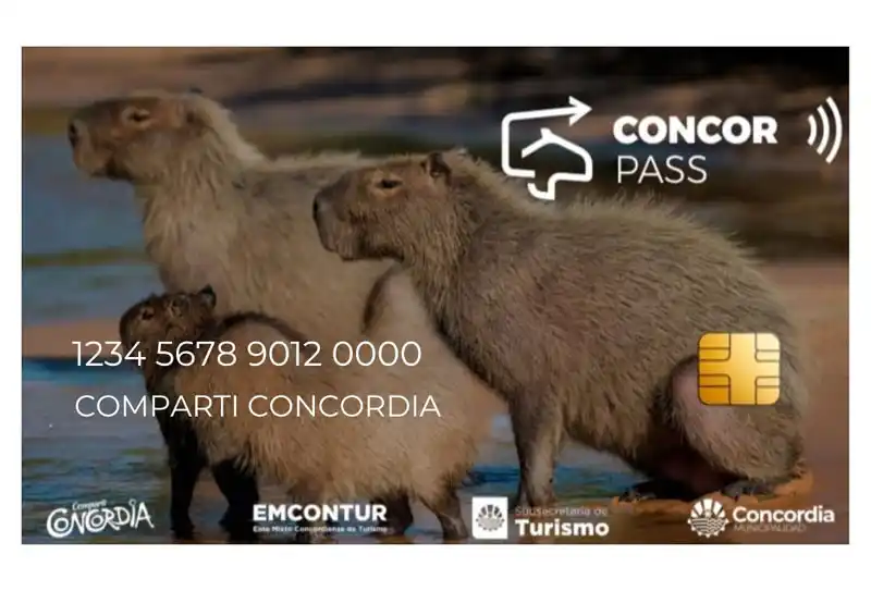 Concorpass inició esta nueva etapa con más de 50 prestadores adheridos