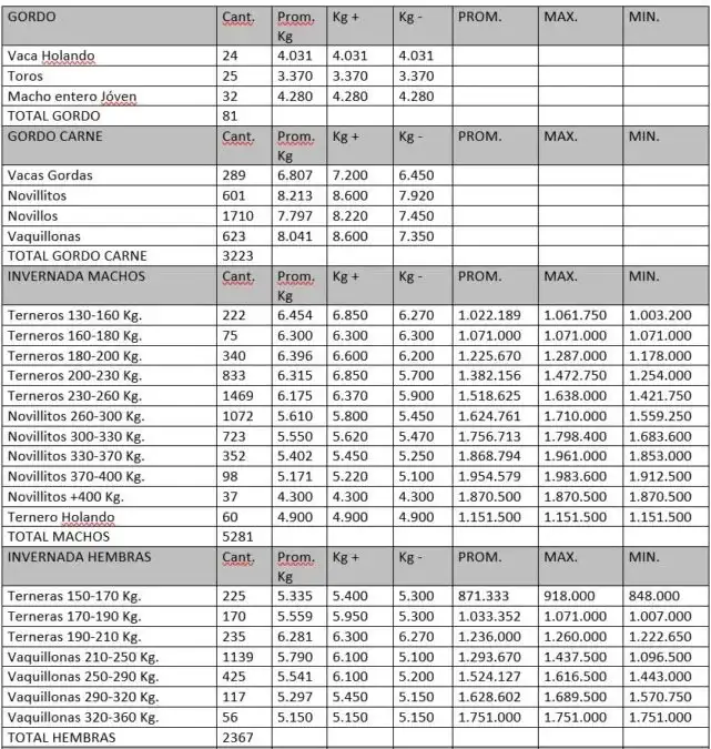 precios mondino primavera