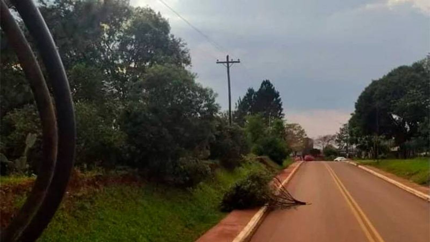 Granizó en localidades correntinas: hubo árboles caídos y cortes de electricidad