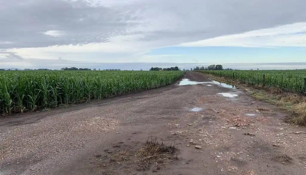 Más que nunca fue agua bendita