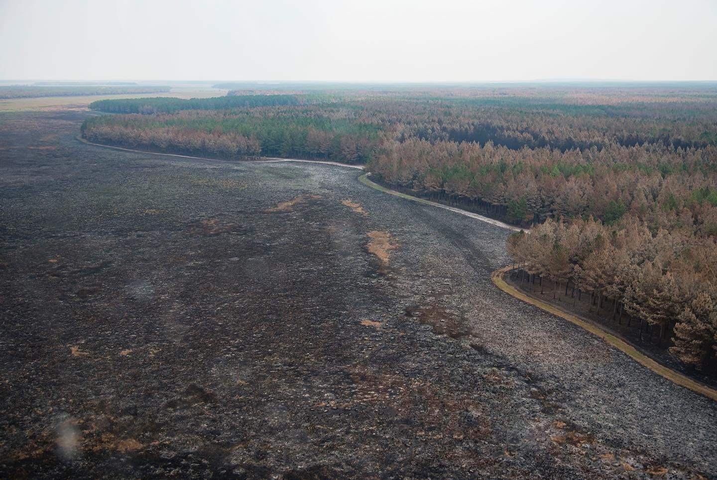 El gobernador de Corrientes anunció que se apagaron los incendios en la provincia