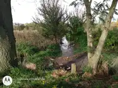 Inundados por un olor nauseabundo, vecinos de Cerro Leones reclaman limpieza de un desagüe