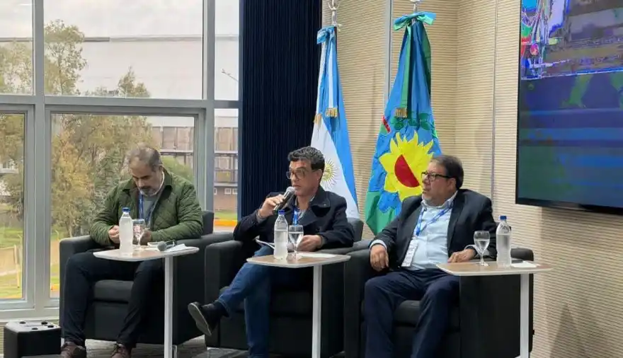 Carrillo, disertando en una de las charlas