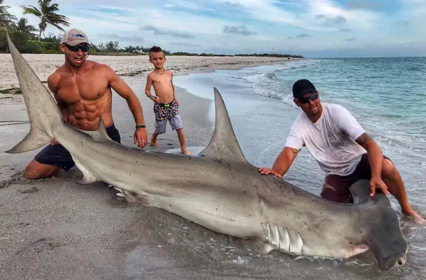 La foto del hombre que caza criaturas marinas que se volvió viral