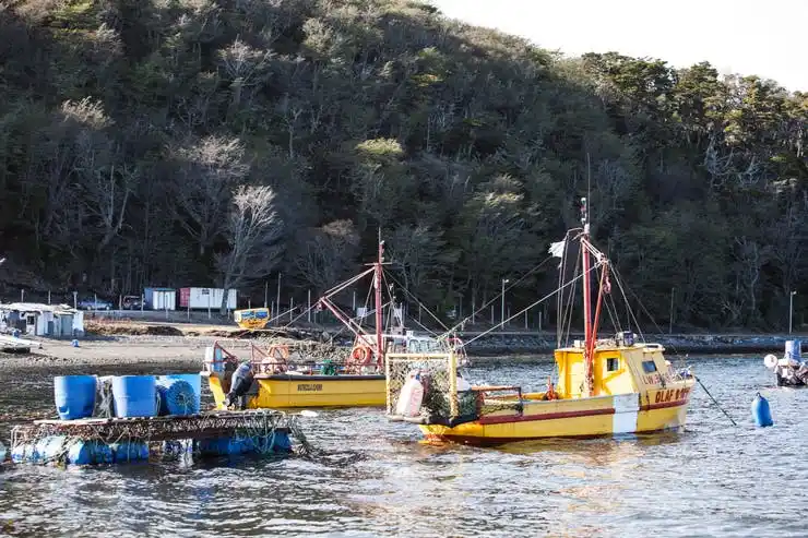 En Ushuaia, las familias de la "ruta de la centolla" amenazadas por las salmoneras