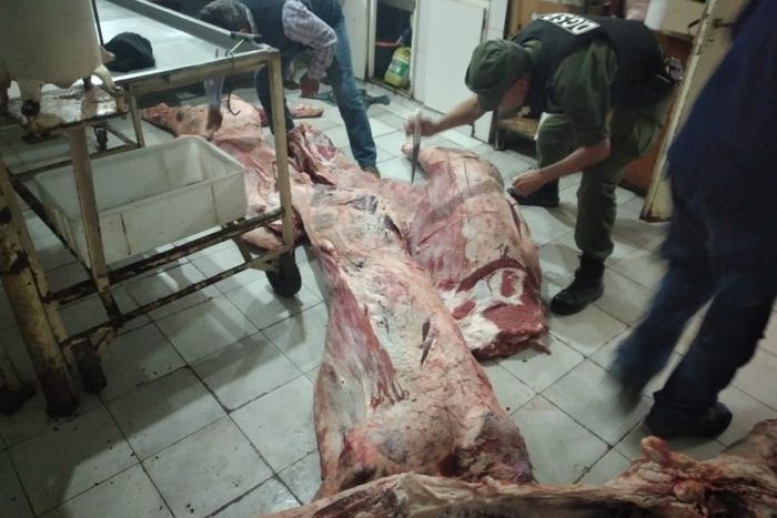 Provincia presentó el informe mensual del trabajo realizado por “Los Pumas” durante septiembre.</p><p>PGPSF