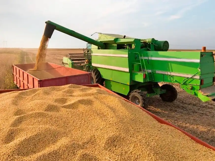 Los detalles del decreto que bajó a 0% las retenciones al campo hasta las elecciones