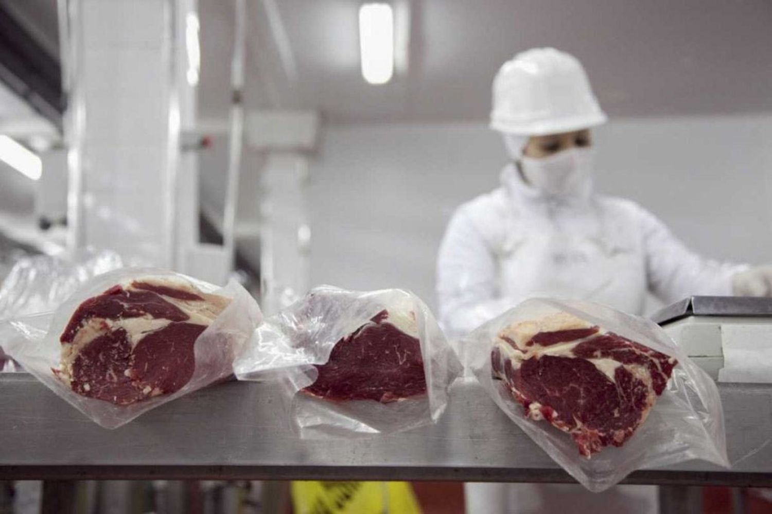 Distribuyen más de 28.000 toneladas de carne de alta calidad para exportar a la Unión Europea