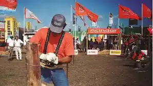 Olavarría: Exposición ganadera y Campeonato Nacional de Alambradores