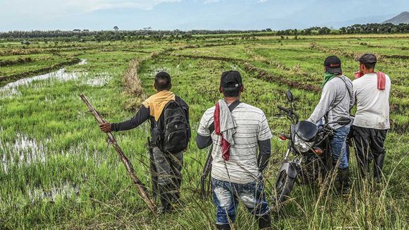 Petro quiere calmar a invasores de tierras con 60 billones de pesos