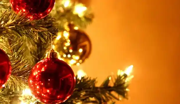 8 de diciembre, día de la Virgen, armamos el arbolito