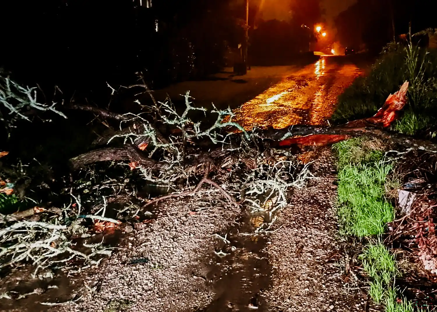 consecuencias temporal 1