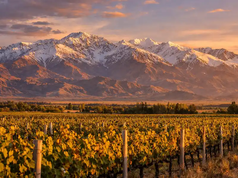Entre viñedos y montaña, el Valle de Uco suma un nuevo proyecto premium que mezcla hotelería, vino y residencias.