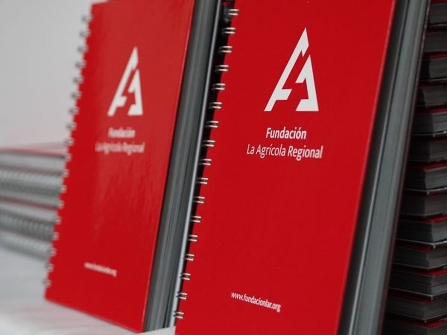Escuelas que participarán del Premio Anual de la Fundación LAR