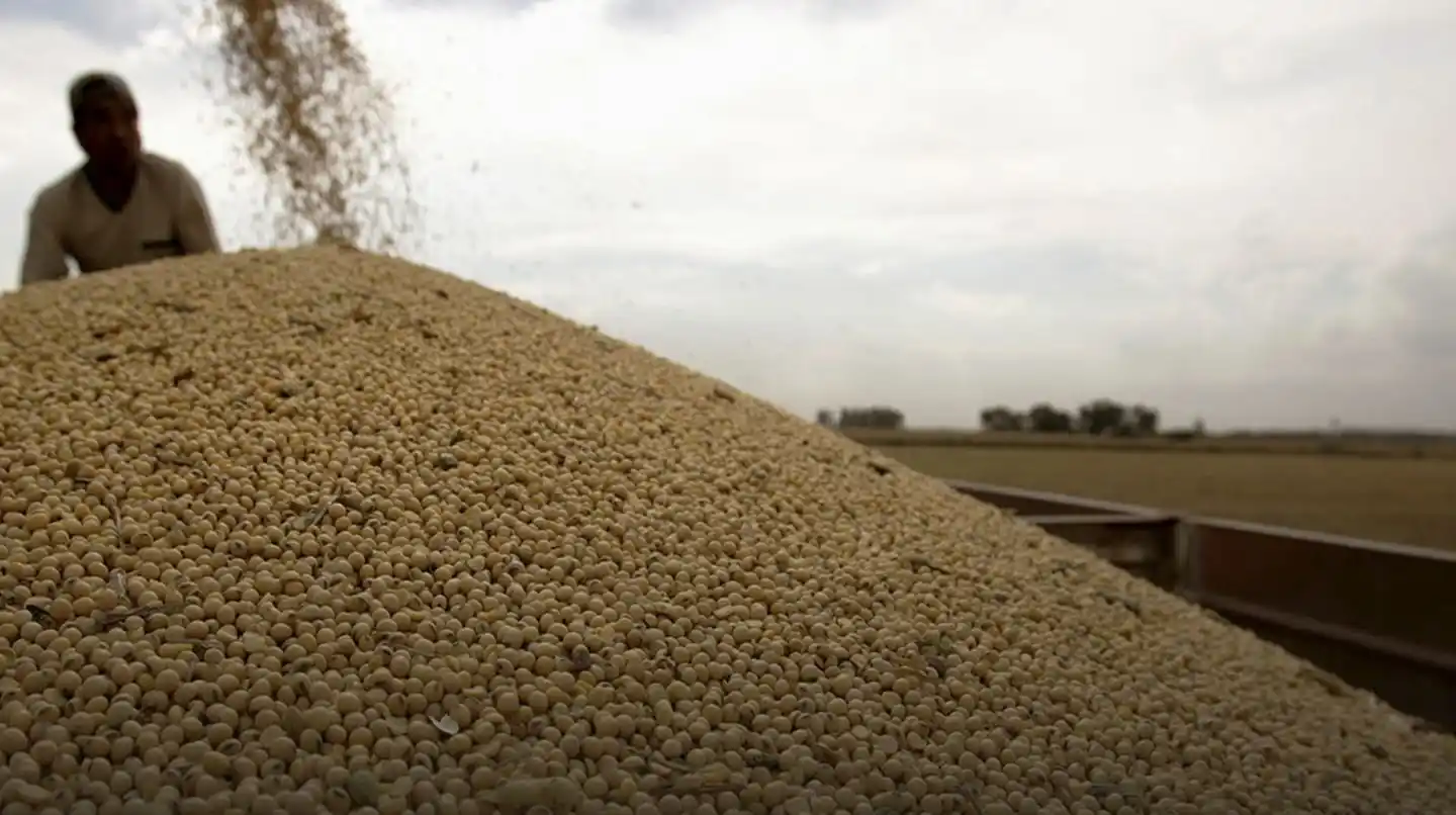 El Gobierno analiza mejorar hasta un 40% el tipo de cambio para la liquidación de granos del campo