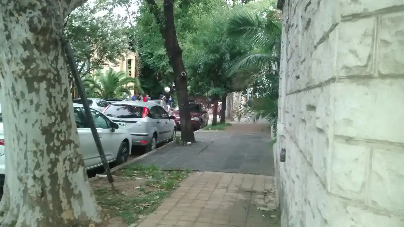 Aseguran que hay 8 casos de dengue en una cuadra de Vicente López