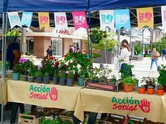 Venta de bolsones saludables 
en diferentes puntos de la ciudad