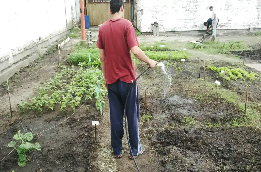 Internos de Batán donan plantines con fines solidarios