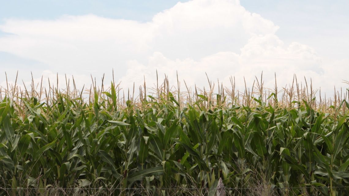 Se puso en marcha el programa de Buenas Prácticas Agropecuarias para productores e instituciones del sector