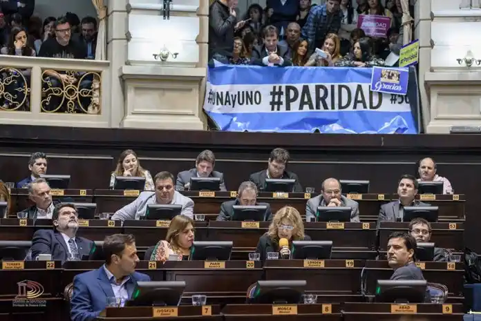 Paridad de género: “Es un retroceso hacia la generocracia populista”