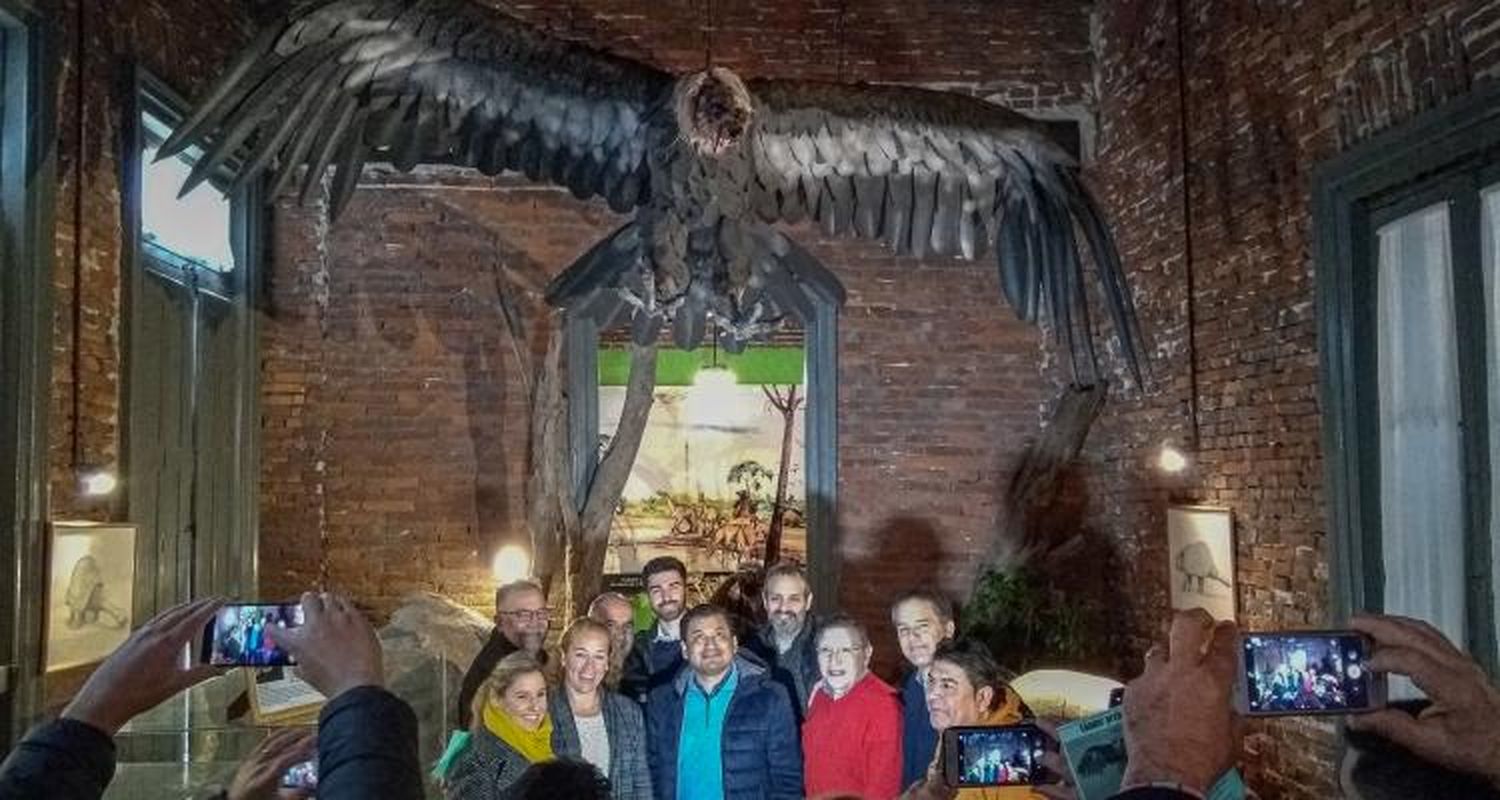 Un cóndor prehistórico gigante en el Museo Paleontológico