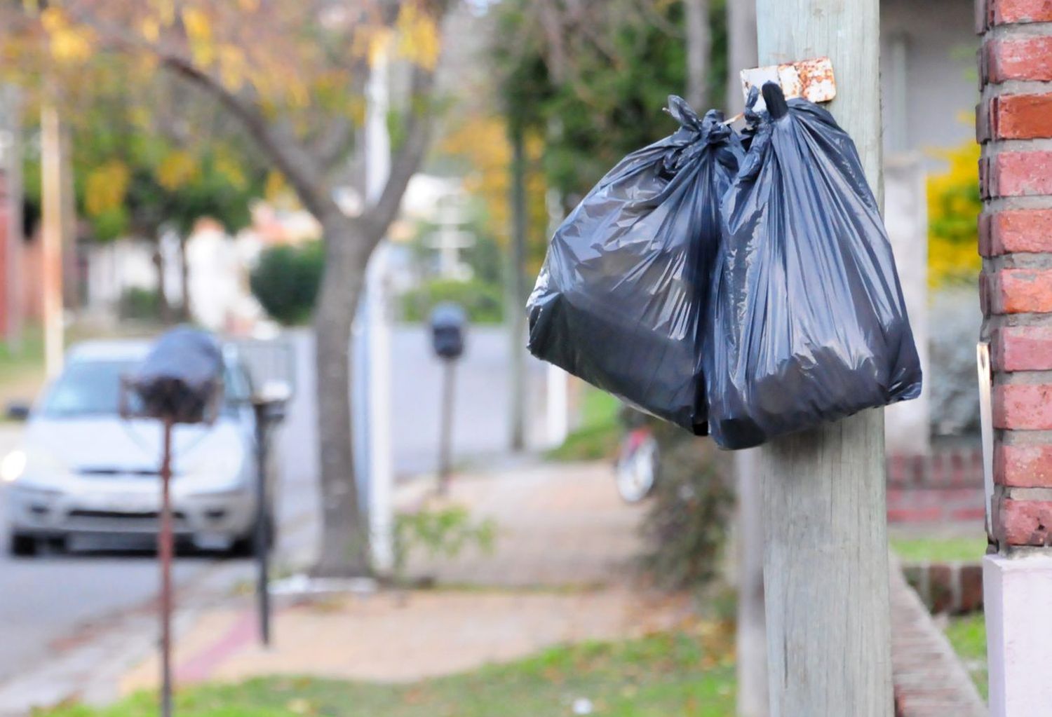 Por la proximidad de nuevos chaparrones, piden que no se saque la basura