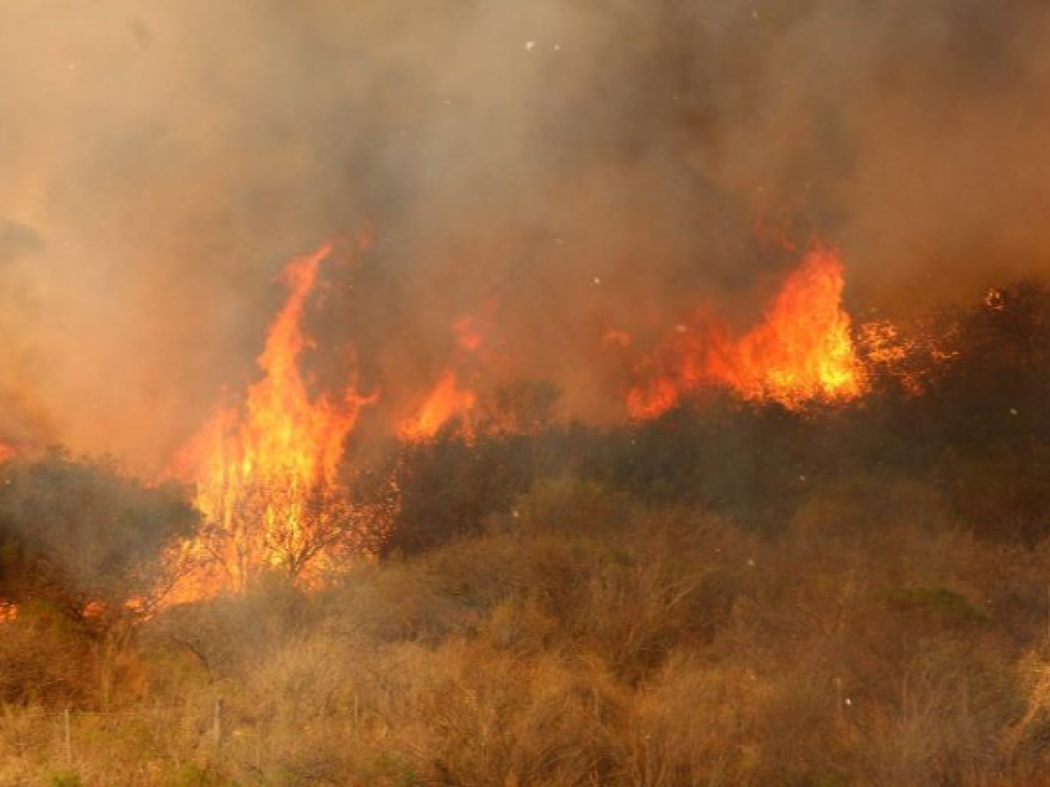 Hay riesgo extremo por incendios en las sierras cordobesas