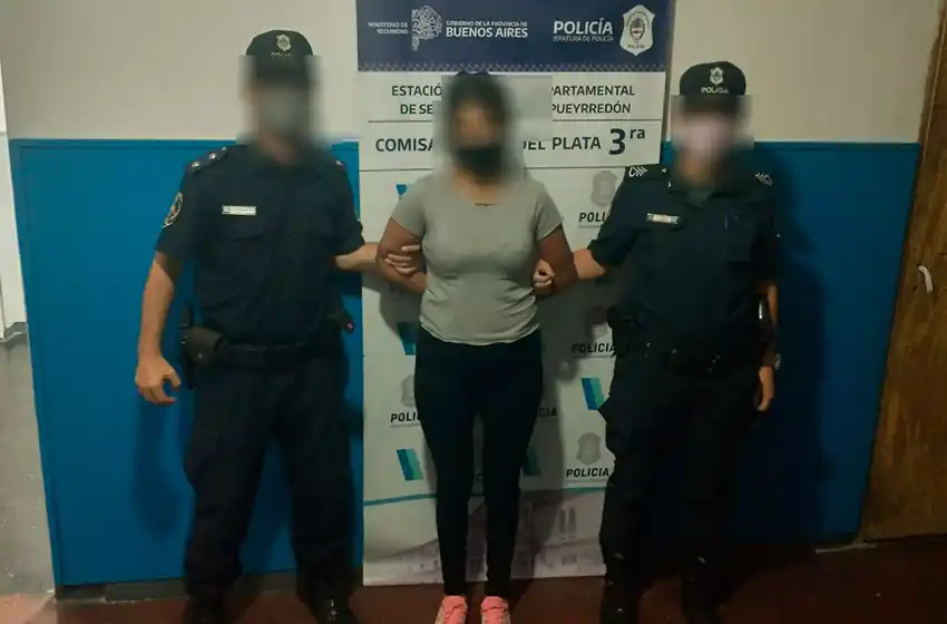 Hermanos especialistas en entraderas: rompieron la puerta y se llevaron un TV