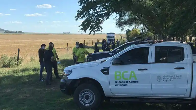 Trasladan a Entre Ríos 300 animales hallados cautivos en Buenos Aires