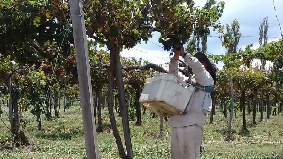 Martin Rubinetti: "La experiencia del vino salteño en la Capital"