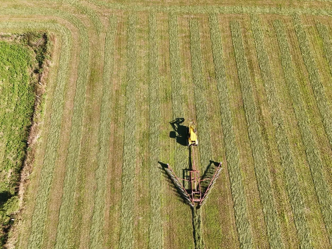 Llega "Nuestro Campo" a Radio Rafaela: un espacio que traerá todo lo que necesitas saber del sector agropecuario