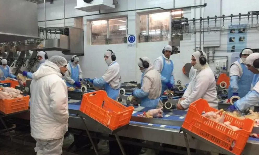 Empresa avícola con granjas en Entre Ríos se declaró en crisis: peligran 700 puestos de trabajo
