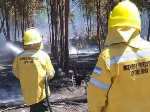 Los bomberos de Entre Ríos y de la ciudad están en alerta ante posibles incendios forestales