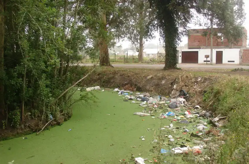 Puesta en valor de Parque Camet: limpiaron microbasurales en la zona oeste