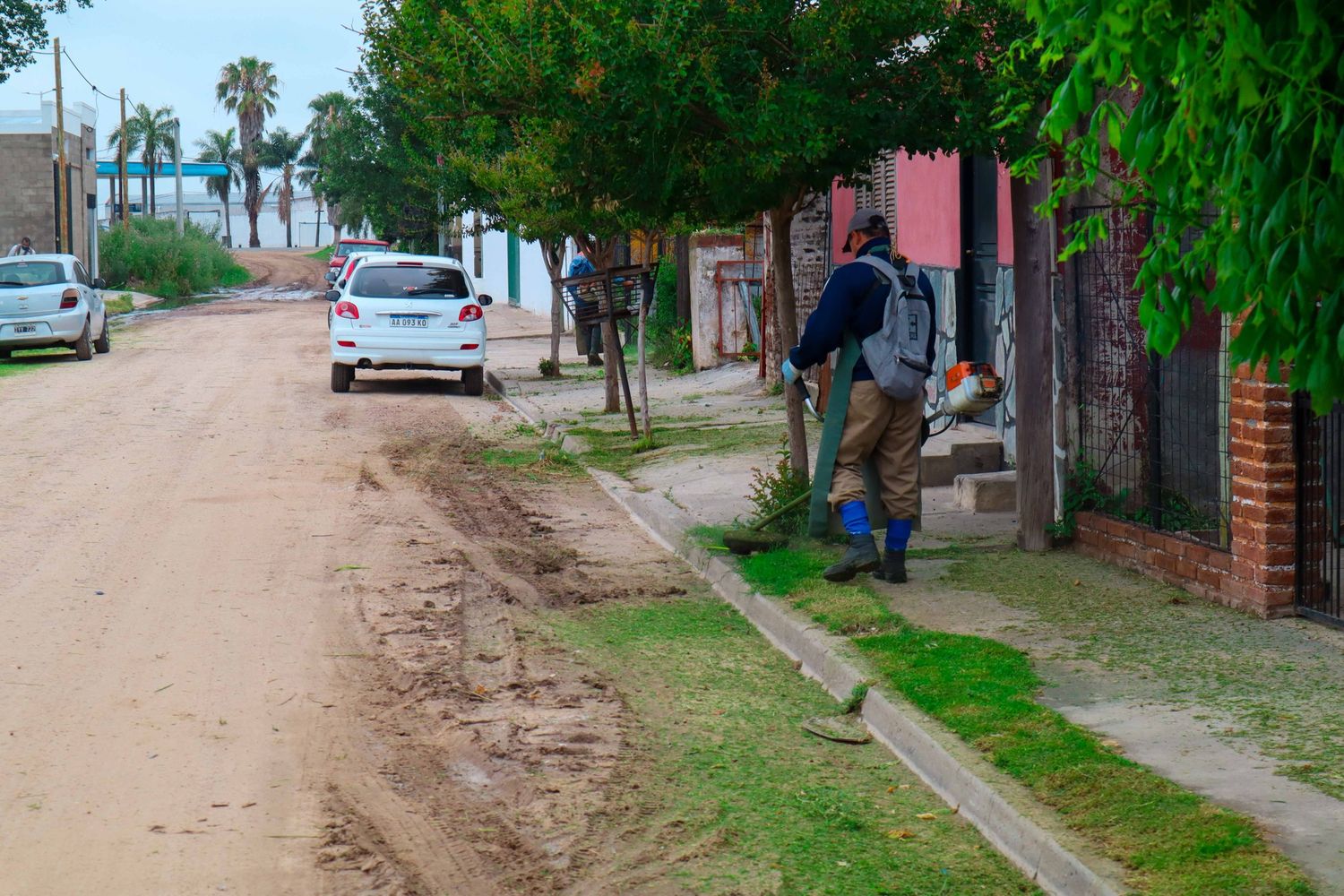 Realizan tareas de mantenimiento y limpieza