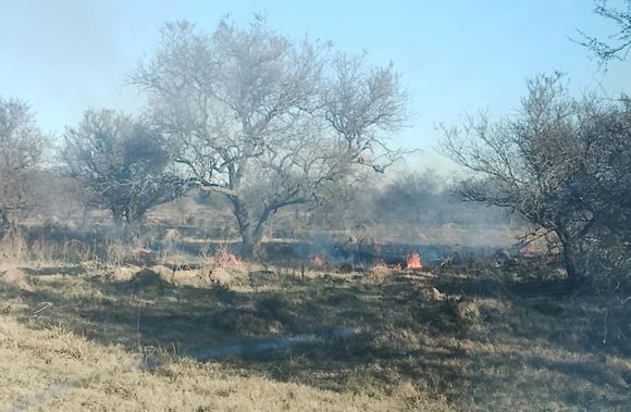 Gracias a una rápida intervención de la comuna, lograron apagar un importante incendio entre Bella Italia y Aurelia