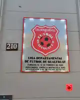 Sanciones y resoluciones del Tribunal de Penas: Boletín Oficial Nº 1163 de la Liga Departamental de Fútbol de Gualeguay