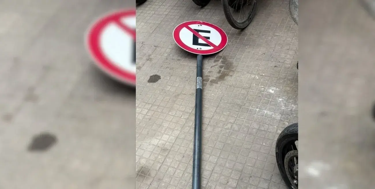 De no creer: robó un cartel de “Prohibido Estacionar” y terminó detenida