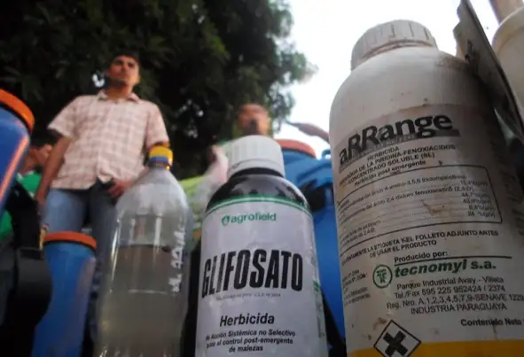 Revés al glifosato cero: La Justicia habilitó la venta en Gualeguaychú