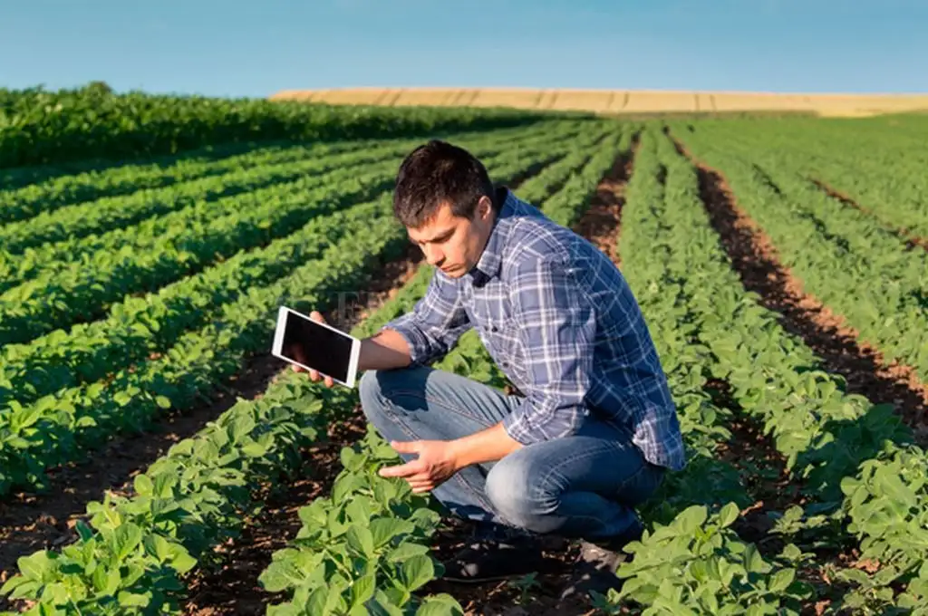 RedES: la iniciativa que busca generar conocimientos sobre sustentabilidad agrícola