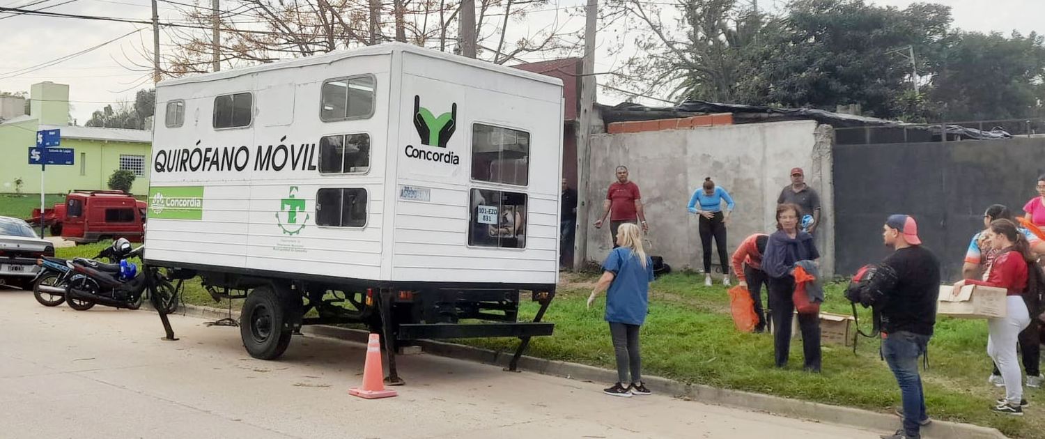 Programa de esterilizaciones barriales gratuitas