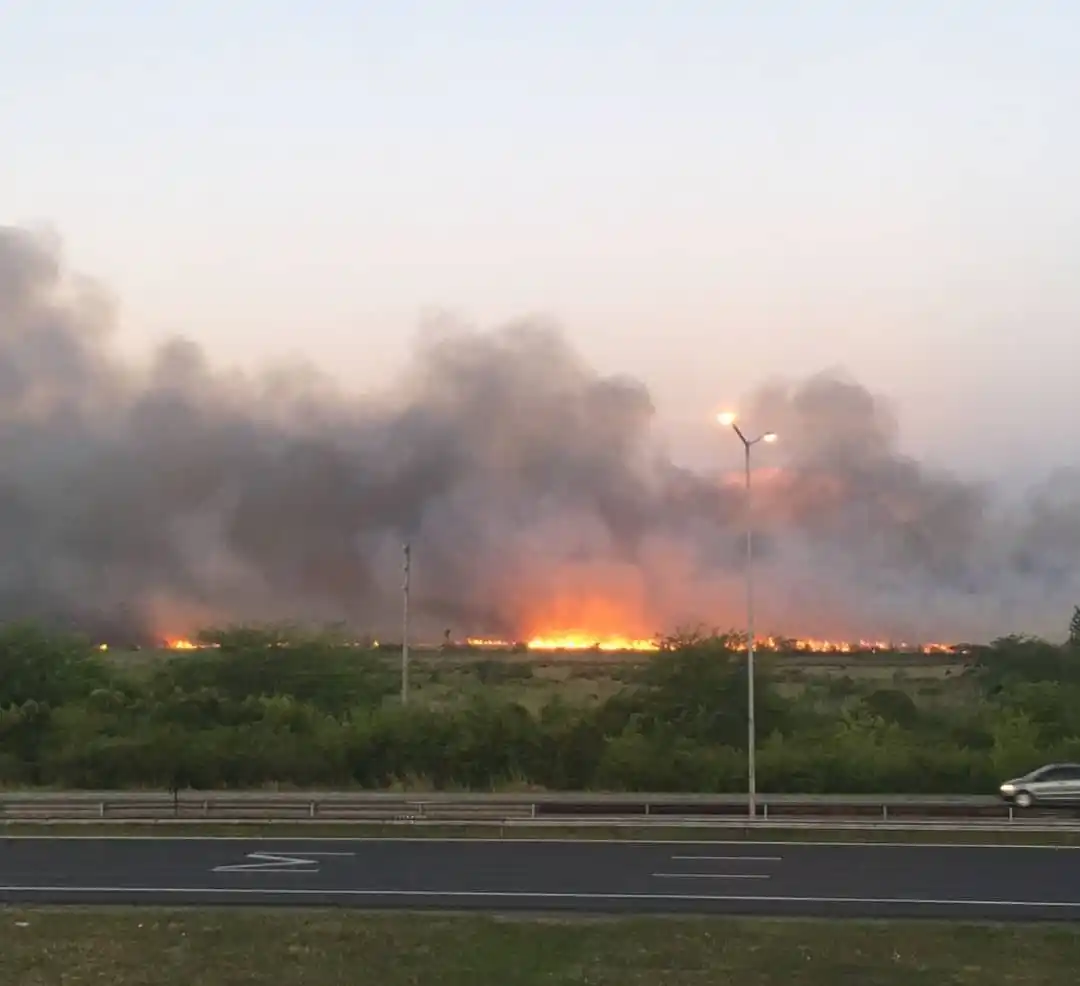 Con el Parque Nacional de Campana cerrado, aseguran que el incendio está controlado